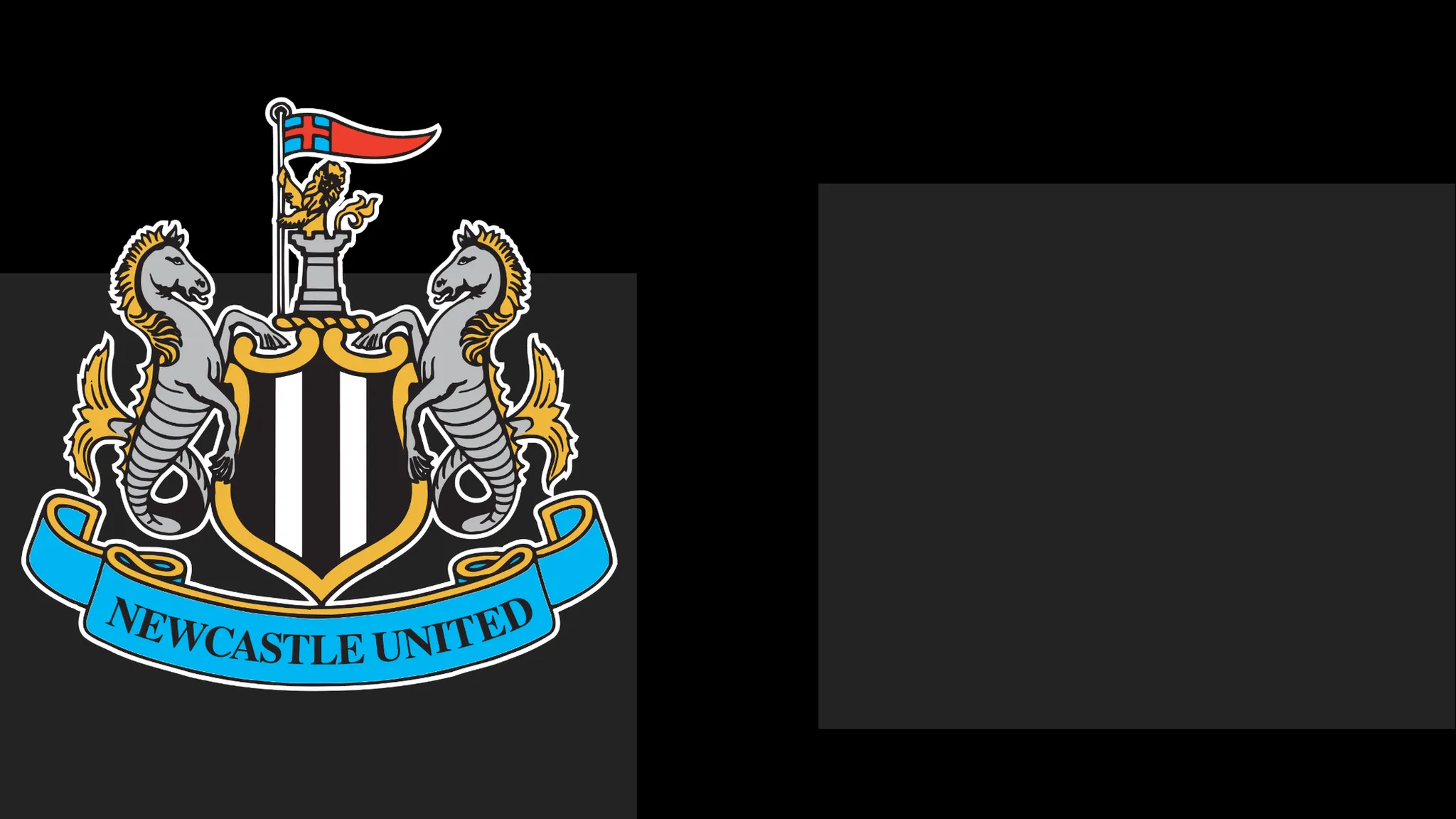 NUFC Issue Formal Apology to Fans Over Matchday Issue
