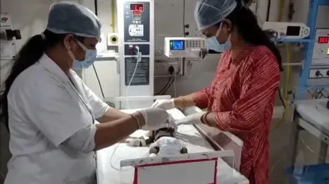 Newborn Interred Alive in India Struggles for Her Life