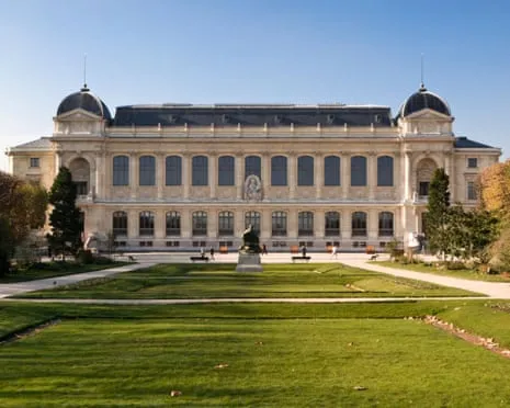 Priceless Gold Specimens Snatched in Daring Heist at France's National Museum