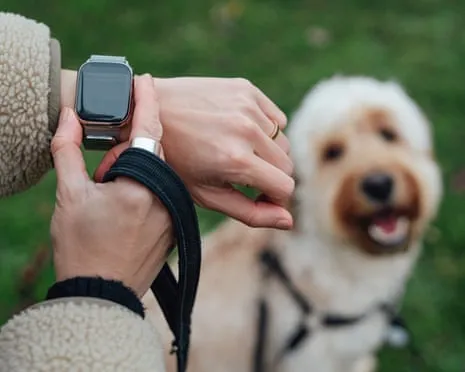 The Truth Concerning Smartwatches? Living Is Better Devoid of a Hectoring Gadget on Your Wristwear